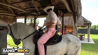 Rachel Starr'S Impressive Horse Riding Skills In This Online Porn Video