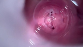 Hd Video Of Deep Penetration Inside A Young Girl'S Vagina